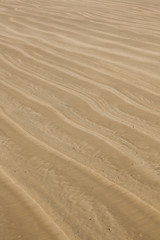 Seamless sand on a whole background and texture.