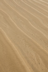 Fototapeta na wymiar Seamless sand on a whole background and texture.