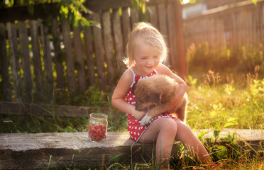 Little girl in the countryside hugs a little fluffy puppy. nearby a collected can of raspberries on...