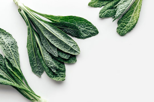 Fresh organic green kale leaves pattern on a white background, flat lay healthy nutrition concept with copy space