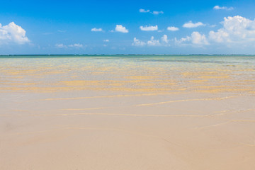 beautiful sea and sand
