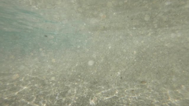 slow motion shot of underwater at shipman beach hawaii on the big island.