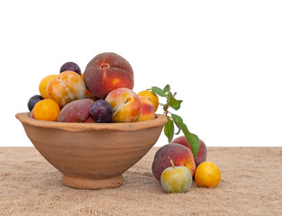 Old fashioned heritage fruit from a long abandoned orchard in ancient terracotta bowl, on hessian. Foraged natural fruit. Isolated on white behind.