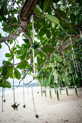 Floral arrangement at a wedding ceremony on beach.