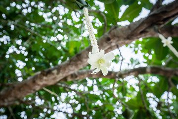 Floral arrangement at a wedding ceremony on beach.