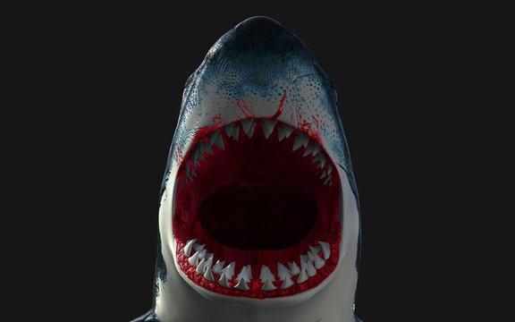 World's biggest great white shark isolate on black background with clipping path, 3d Illustration, 3d Render