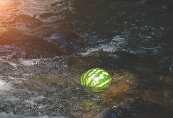 Watermelon in a river water stream