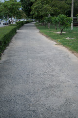 Sidewalk and grass converging lines