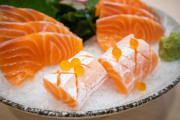 Fresh salmon slice sashimi serve on ice with wasabi Japanese style