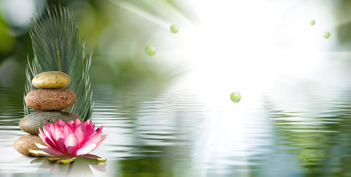  image of a beautiful lotus flower on the water