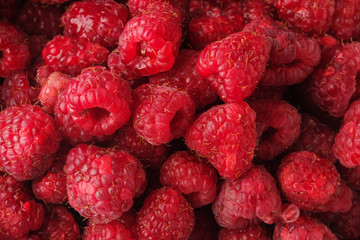 Macro Photo food raspberry berry. Texture background ripe pink raspberry berry. Image food product berry raspberry