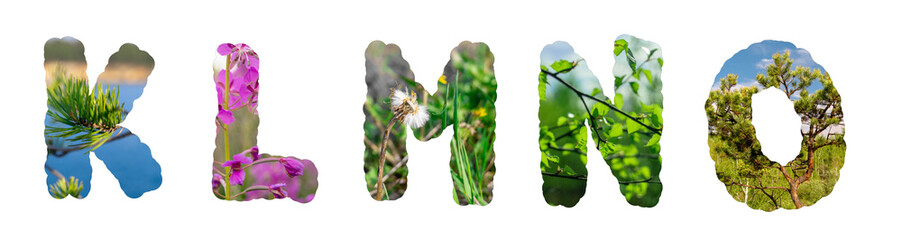 Flower font Alphabet k, l, m, n, o made of my floral photos. Flora font for your unique ideas