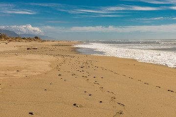 A beautiful empty golden sand West Coast beach on the South Island of New Zealand