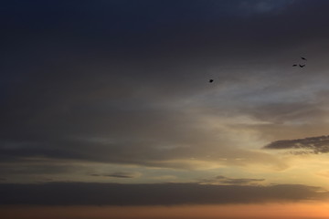 Fototapeta na wymiar Wolkenstimmung über dem Meer bei Sonnenaufgang