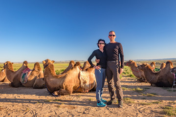 Fototapeta premium Tourist in front of Camel