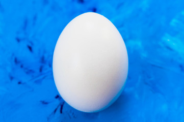  One white chicken egg on a blue abstract background backdrop. Cover concept. Close-up.