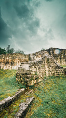 Scatti del Pian del Cansiglio