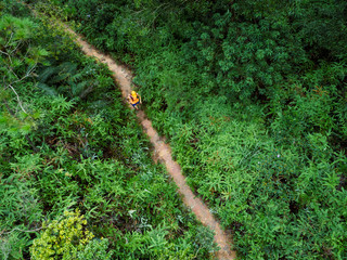 Aerial view of woman ultra marathon runner running on tropical rainforest trail