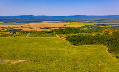 Flying above stunning yellow sunflowers field. Agricultural landscape from a bird sight