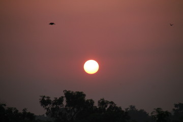 Obraz premium moon and clouds