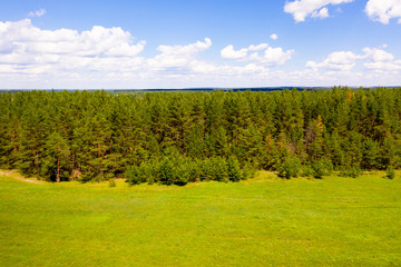 Obraz premium Beautiful spring forest as background. Bird's eye view