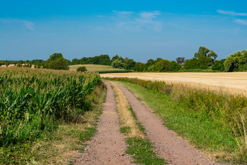 Hiking path through meadow landscape of Betschdorf, France