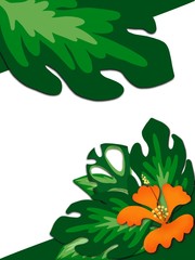illustration of a background hand draw of leaves and tropical flower at the upper and lower conner of white background