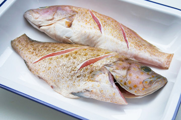 Fresh grouper on a plate ready to cook