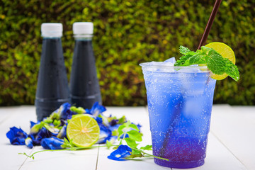 Blue pea flower and lime soda, summer drinks