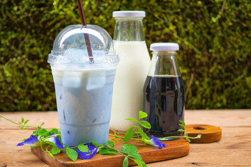 Iced Blue pea milk or Iced Butterfly Pea Latte with milk