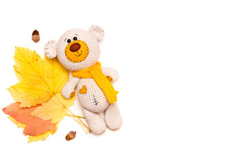 Amigurumi knitted teddy bear with autumn leaves isolated on white.