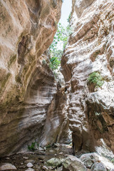 Natural sight canyon of Avakas on Cyprus, formed the river.