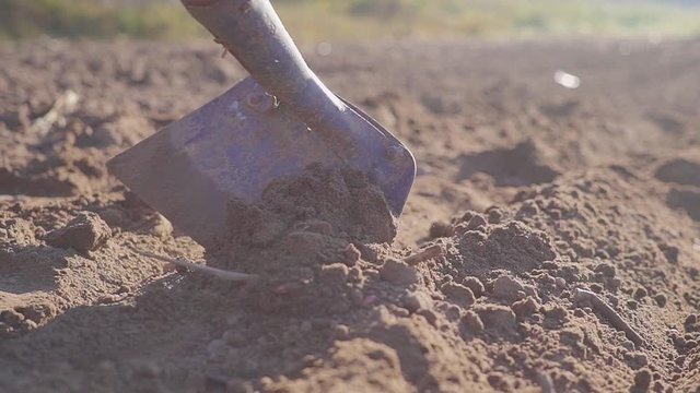 Man manualy cultivate land with a hoe sunny day close up