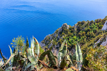 Italy, Capri, view of the splendid blue sea from the top of the island