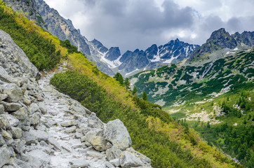 Fototapeta na wymiar A path in a forest in the Tatra Mountains in Slovakia. Europe.