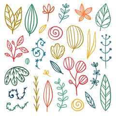 Floral vector collection