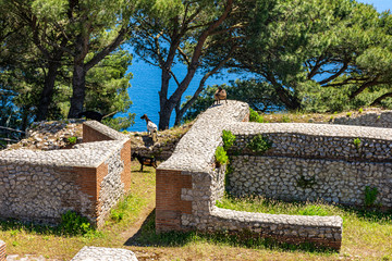 Italy, Capri, view and details of the archaeological remains of the ancient Roman villa Jovis of...