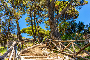 Fototapeta na wymiar Italy, Capri, panorama from Villa Jovis