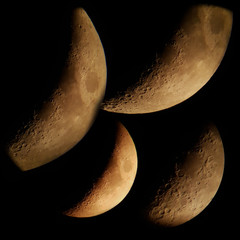 Luna crescente 28% © Steve Fossiant