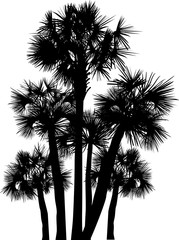 silhouette of six palm trees group isolated on white