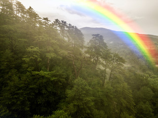 amazing nature landscape after the rain with big rainbow in the sky