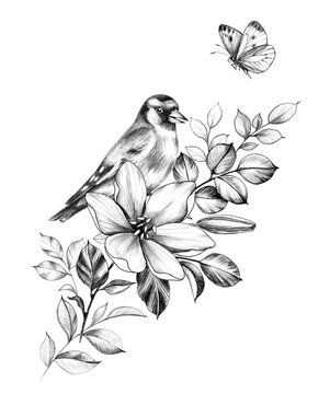 Hand Drawn Goldfinch Sitting on Flower