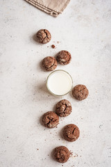 Chocolate Cookies and Milk