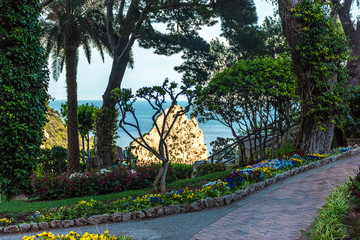 Italy, Capri, avenue in the gardens of Augustus