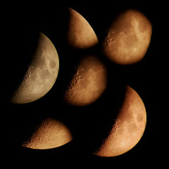 Luna crescente 39% © Steve Fossiant