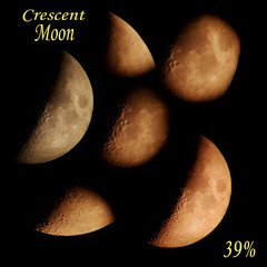 Luna crescente 39% © Steve Fossiant