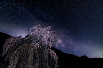 night sakura and galaxy © Hiromitsu Kato