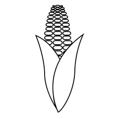 Corn line icon, logo isolated on white background