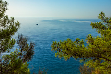 Great amazing summer landscape. Horizontal color photography.