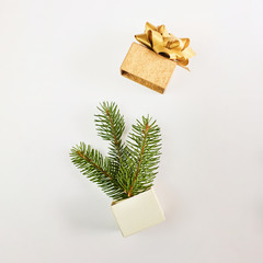 Christmas and New Year card. Fir branches in gift box over white background
